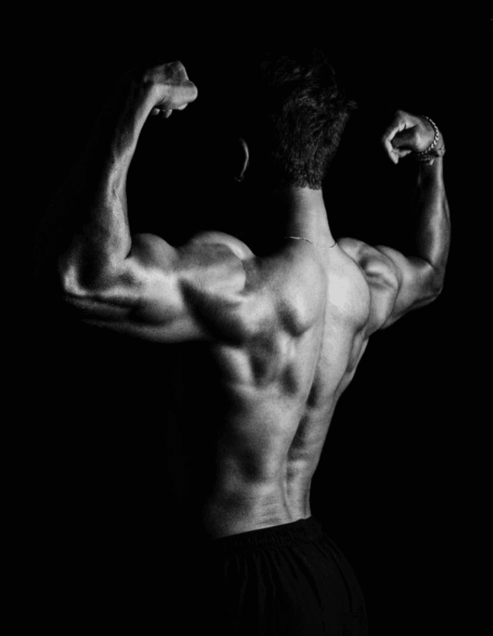 Calisthenics e Bodybuilding: differenze, benefici e quale scegliere